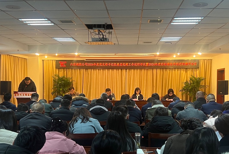 市城投公司召开2024年度党支部书记抓基层党建工作述职评议会议暨2024年度目标绩效考核述职测评会议